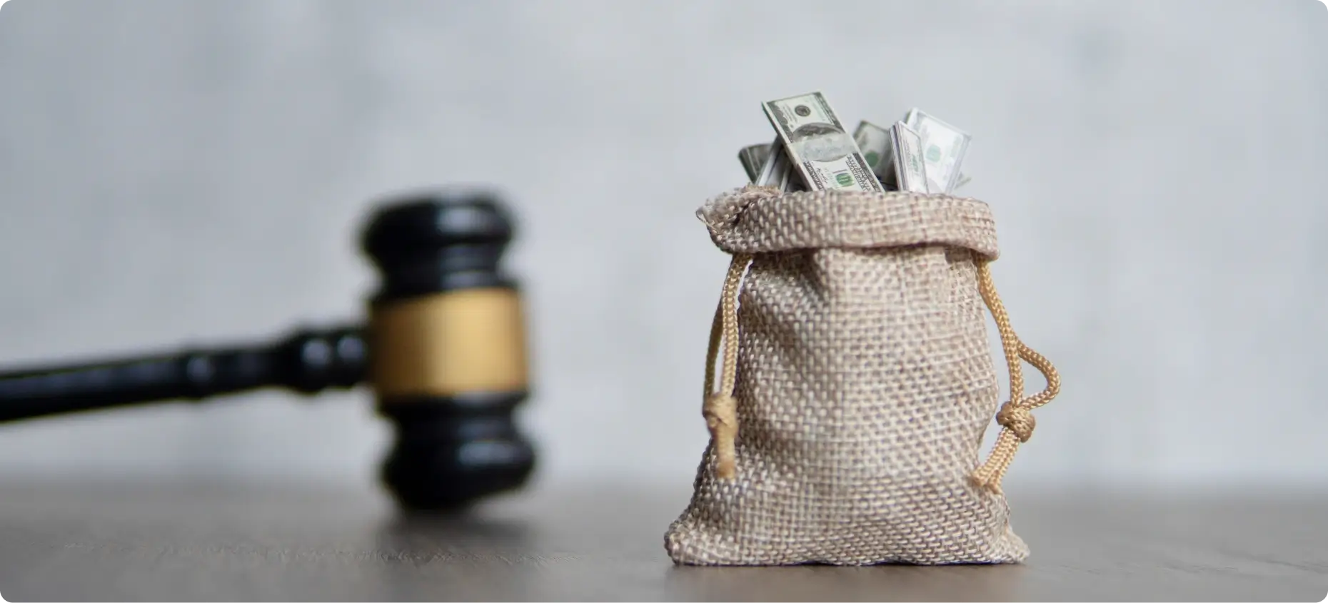 Here's an alt tag for the image: Money bag, gavel, legal fees.